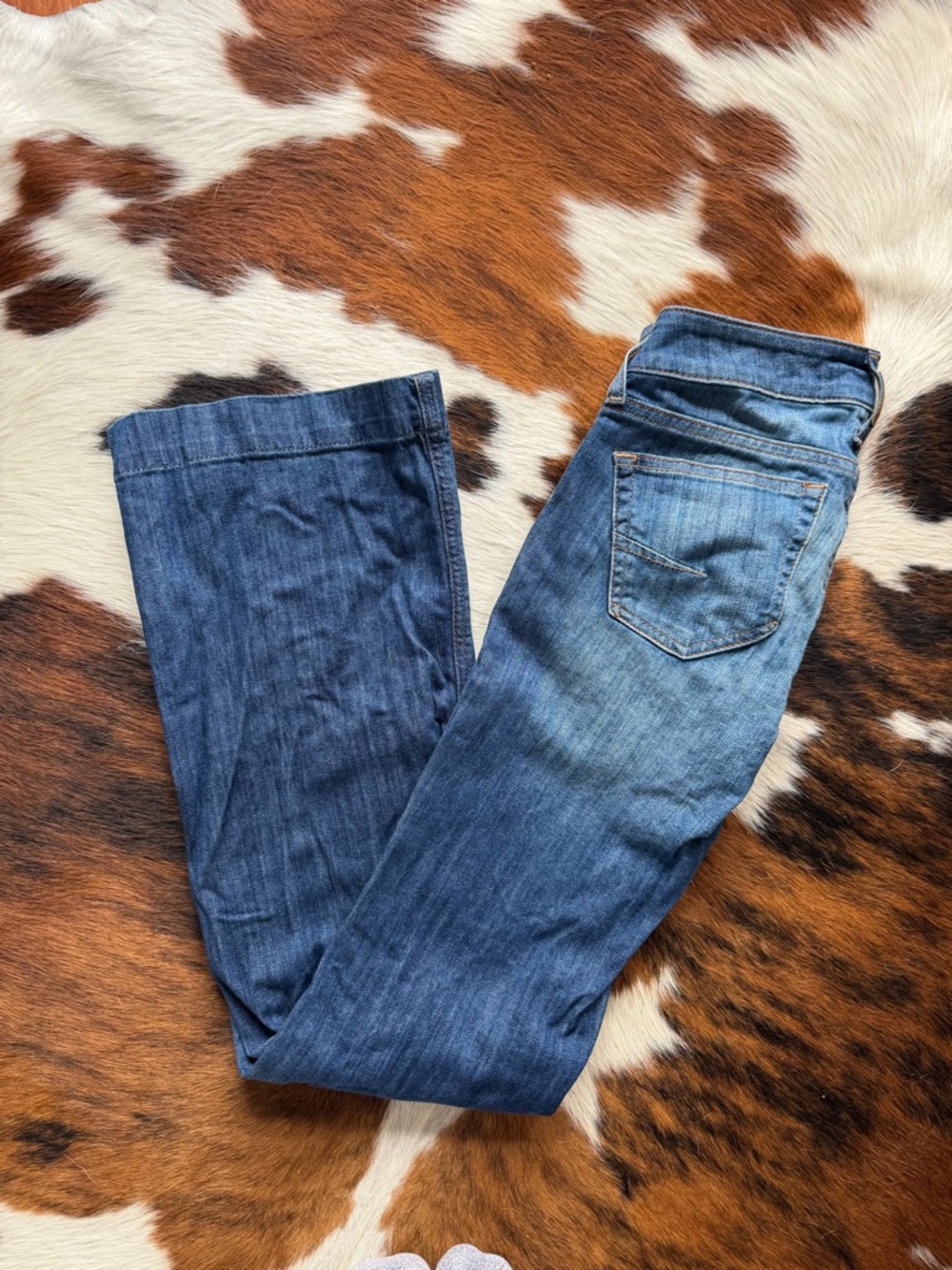 Ariat Trousers